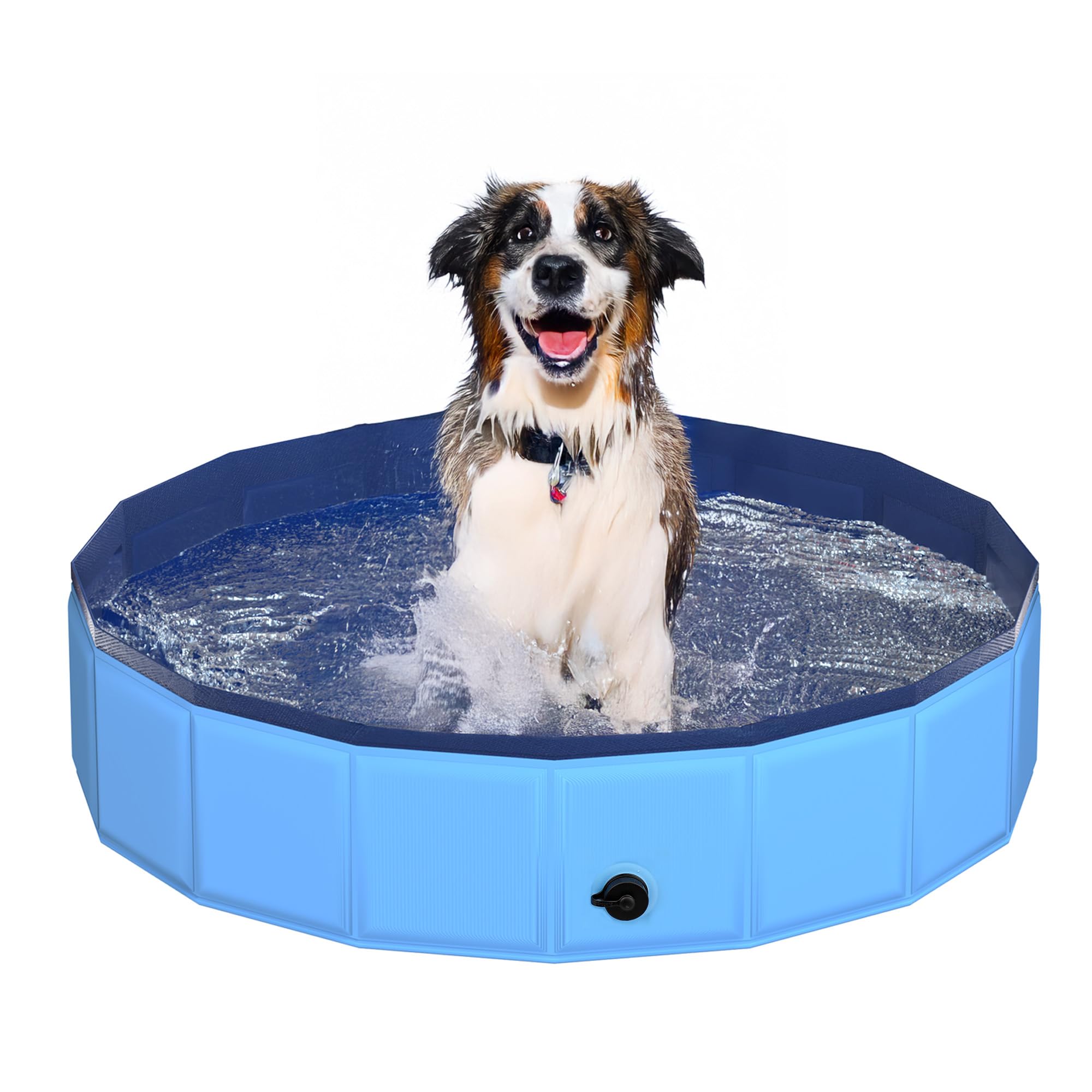 CACSPS 39.5  x 12  Foldable Dog Pool - Collapsible Hard Plastic Kiddie Pool for Dogs & Kids, Non-Slip Pet Bath Tub for Outdoor B
