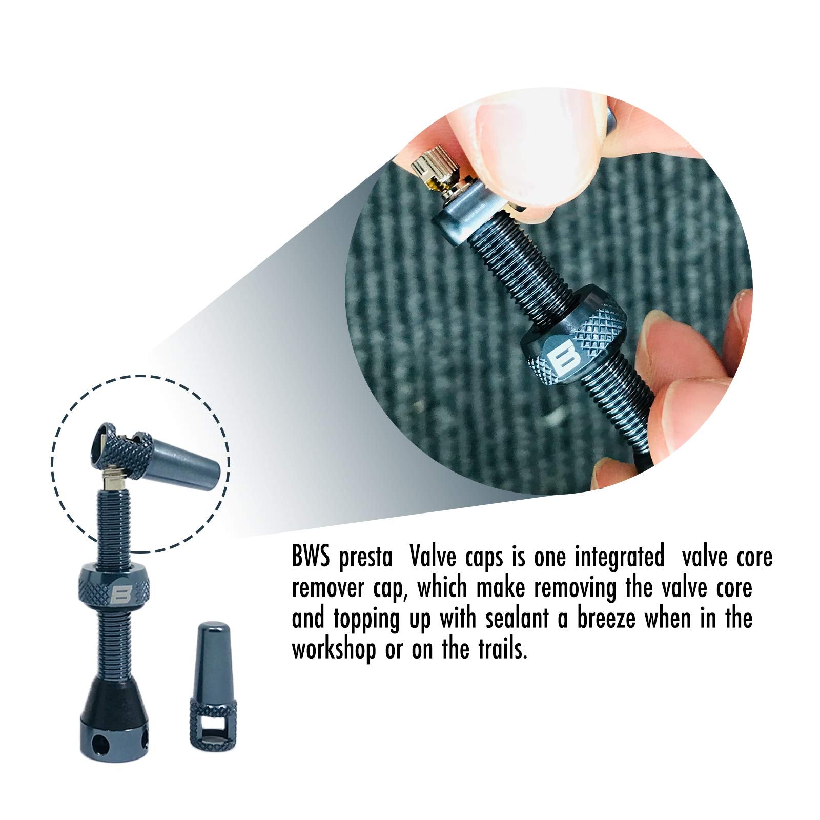 Bwshlf Gray Tubeless Presta Valve Stem 40Mm / 44Mm, Super Light Alloy Presta Valve Stem Kit With Valve Core Remover Tool And Val