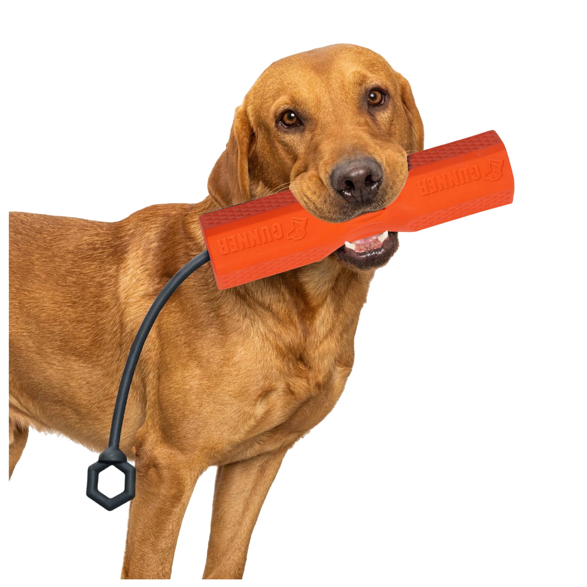 GUNNER Dog Training Bumper - Retriever Training Dummy, Retrieving Dummies for Pets, Bumpers for Water Retrieving with Adjustable