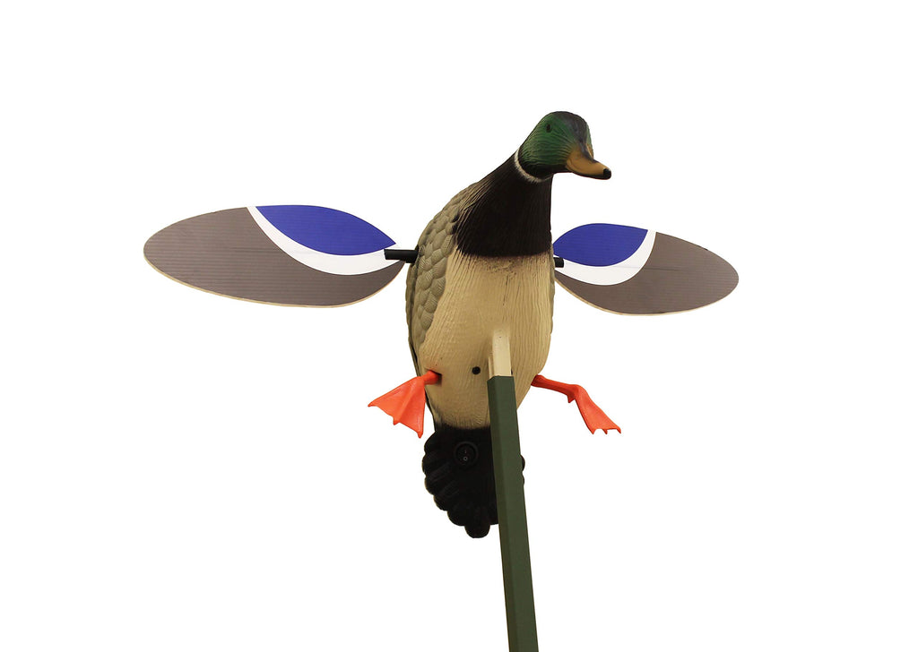 Mojo Outdoors Mojo Baby Mallard Spinning Wing Duck Decoy, Duck Hunting Gear And Accessories, Drake