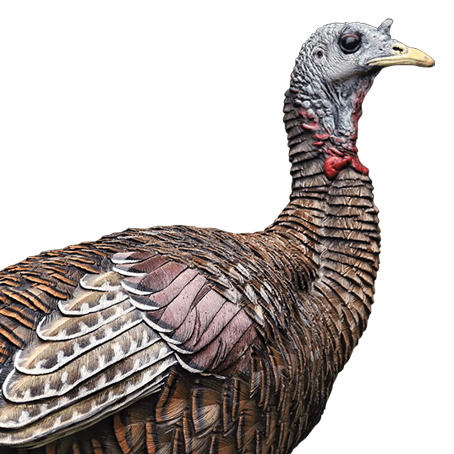 Avian X Lcd Lookout Hen Lifelike Collapsible Turkey Gobbler Hunting Decoy W/ Carbon Stake, Carry Bag, & Storage Compression Stra