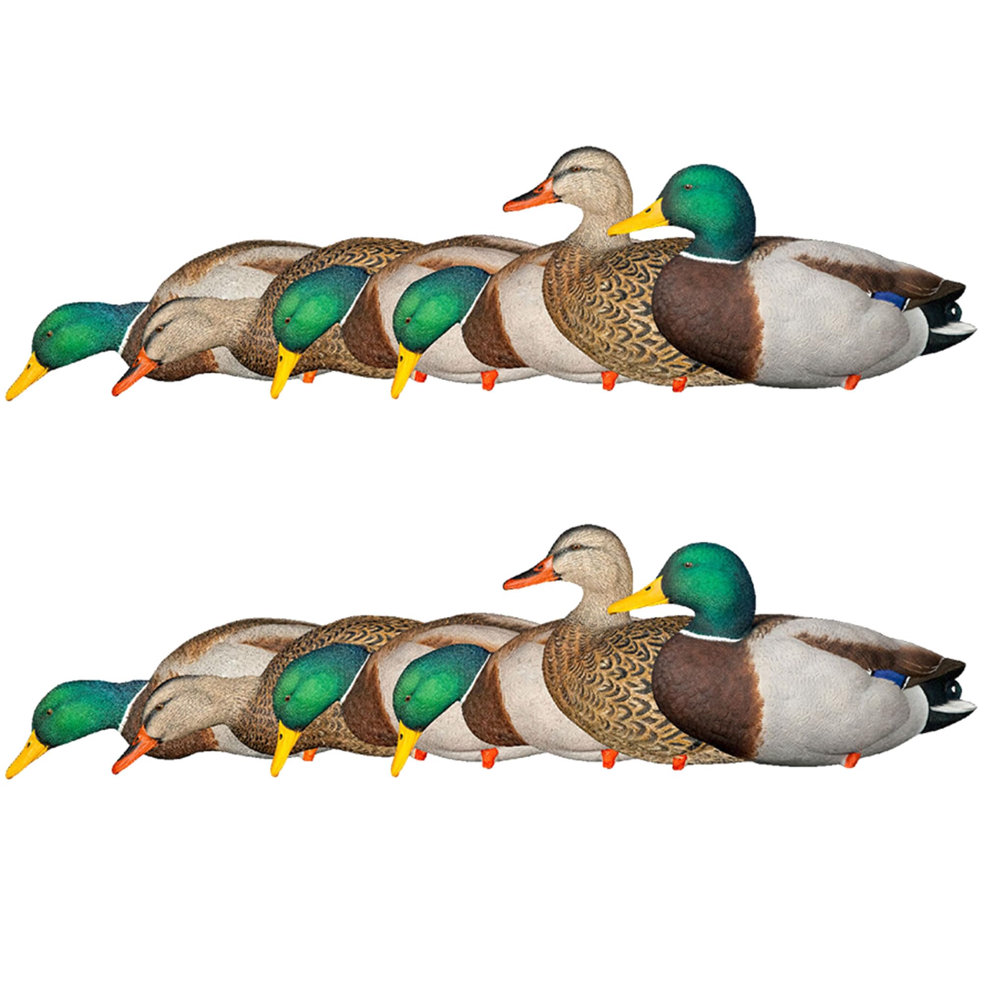 Avian-X Axp Full Body Mallards Decoy With Durable Materials, Wind Activated Motion System, And 6 True To Life Postures, 6 Pack,