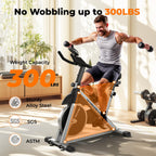 Yosuda Indoor Cycling Bike Stationary - Cycle Bike With Ipad Mount ?Comfortable Seat Cushion (Gray)