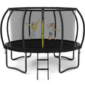 Liyarya 14FT Trampoline for Kids/Adults - Outdoor Trampolines with Enclosure Net Curved Poles and Ladder, Heavy Duty Trampoline 