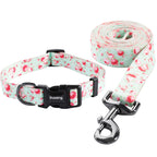 Ihoming Dog Collar And Leash Set For Daily Outdoor Walking Running Training, Floral Greenlake Design For Large Boys Girls Dogs C
