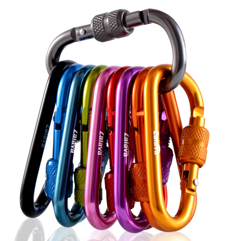 Zalava 2'' 10 Pcs D-Clip Durable Locking Carabiner Clips Keychain Clip, Spring-Loaded Aluminum Keychain Clip Hook, Screwgate Loc