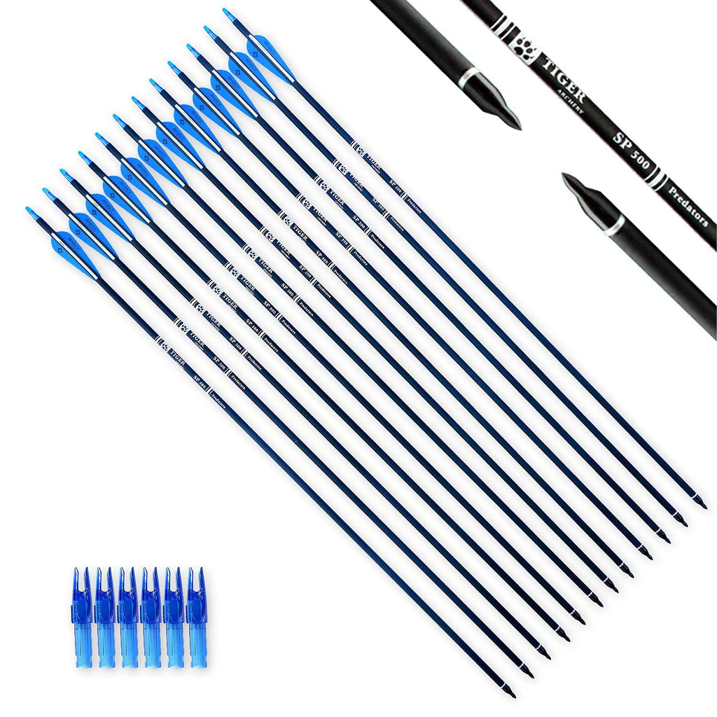 Tiger Archery 30Inch Carbon Arrow Practice Hunting Arrows With Removable Tips For Compound & Recurve Bow(Pack Of 12) (Blue White