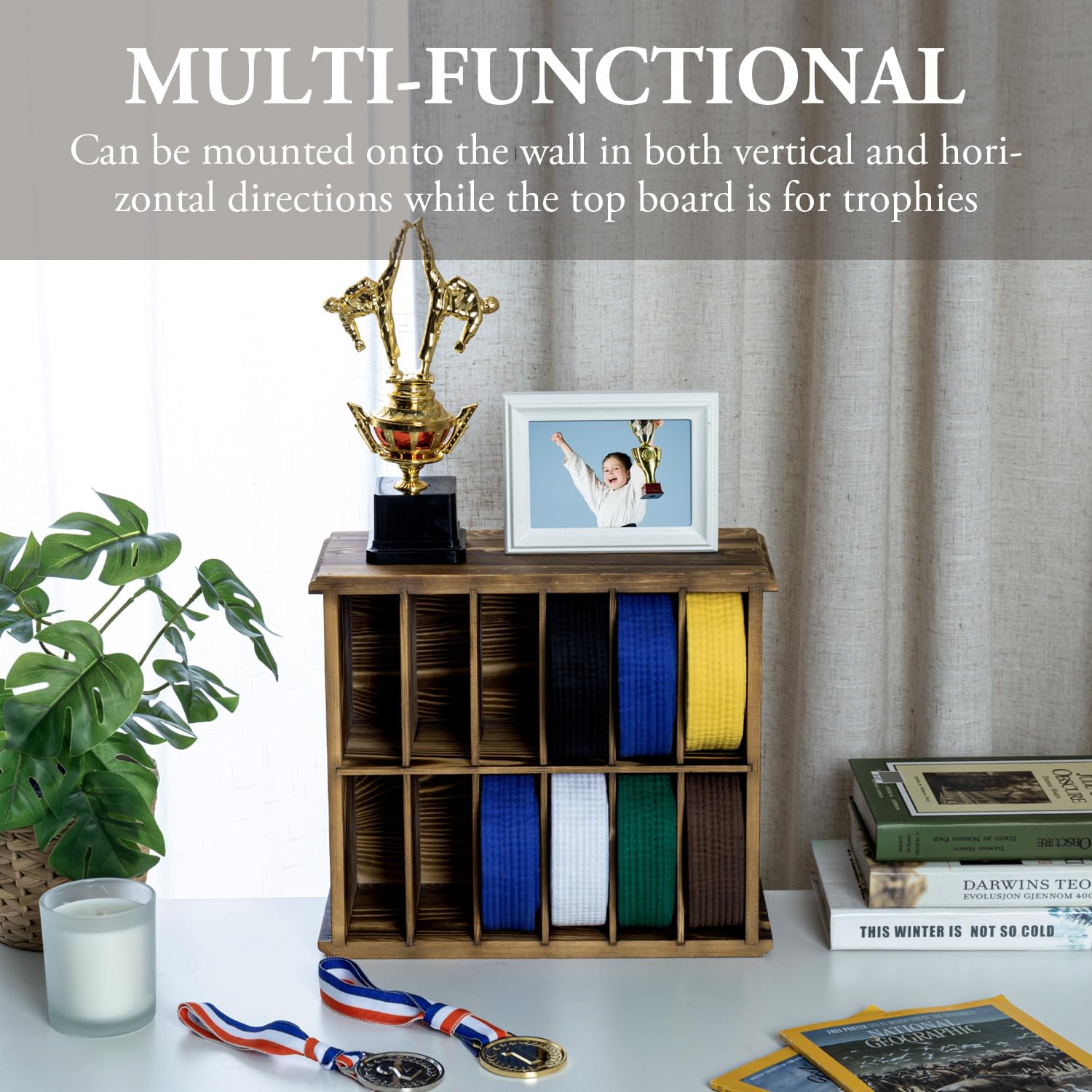 Mygift 12 Compartment Rustic Burnt Solid Wood Wall Mounted Dual Display Martial Arts Belt Holder With Top Trophy Storage Shelf I