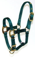 Hamilton 3/4 Inch Nylon Adjustable Horse Halter, Foal 100 to 200 lbs, Dark Green