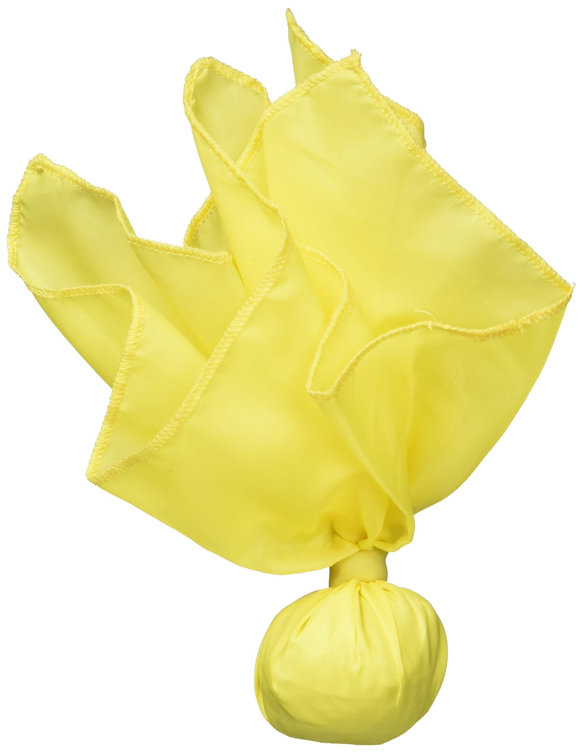 Bsn Official'S Penalty Flag