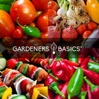 Heirloom Hot Salsa Growing Seed Packets 8 Varieties Habanero, Jalapeno, Serrano Peppers, Roma, San Marzano Tomato, Cilantro, Gre