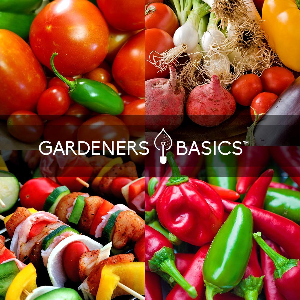 Heirloom Hot Salsa Growing Seed Packets 8 Varieties Habanero, Jalapeno, Serrano Peppers, Roma, San Marzano Tomato, Cilantro, Gre
