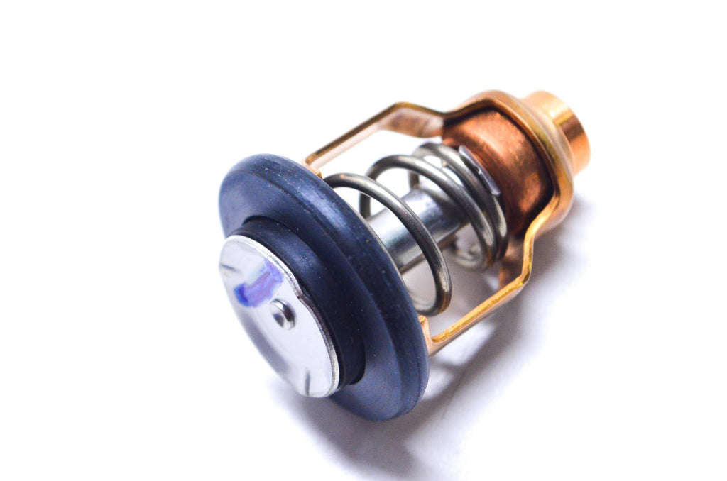 Mercury 855676 1 Thermostat