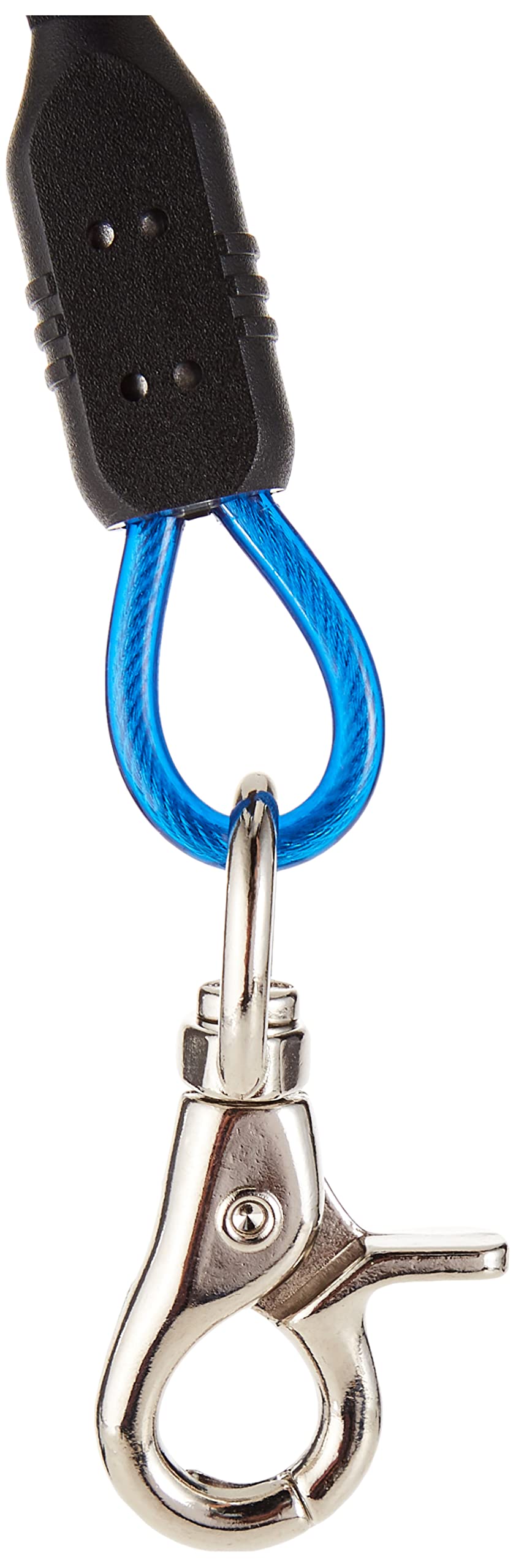Scuba Choice Diving Stainless Steel Reef Double Hook With Spiral Coil Lanyard, Blue