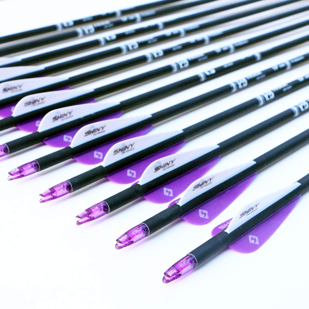 Tiger Archery 30Inch Carbon Arrow Practice Hunting Arrows With Removable Tips For Compound & Recurve Bow(Pack Of 12) (Purple Whi