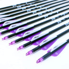 Tiger Archery 30Inch Carbon Arrow Practice Hunting Arrows With Removable Tips For Compound & Recurve Bow(Pack Of 12) (Purple Whi
