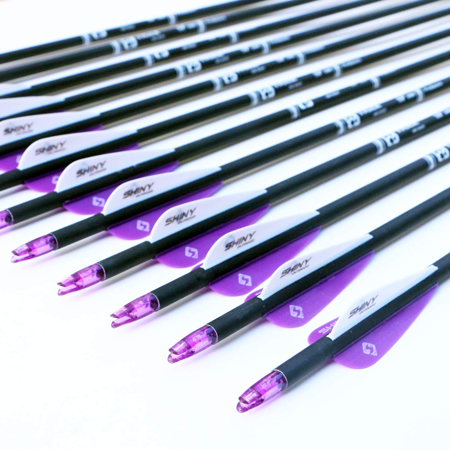 Tiger Archery 30Inch Carbon Arrow Practice Hunting Arrows With Removable Tips For Compound & Recurve Bow(Pack Of 12) (Purple Whi