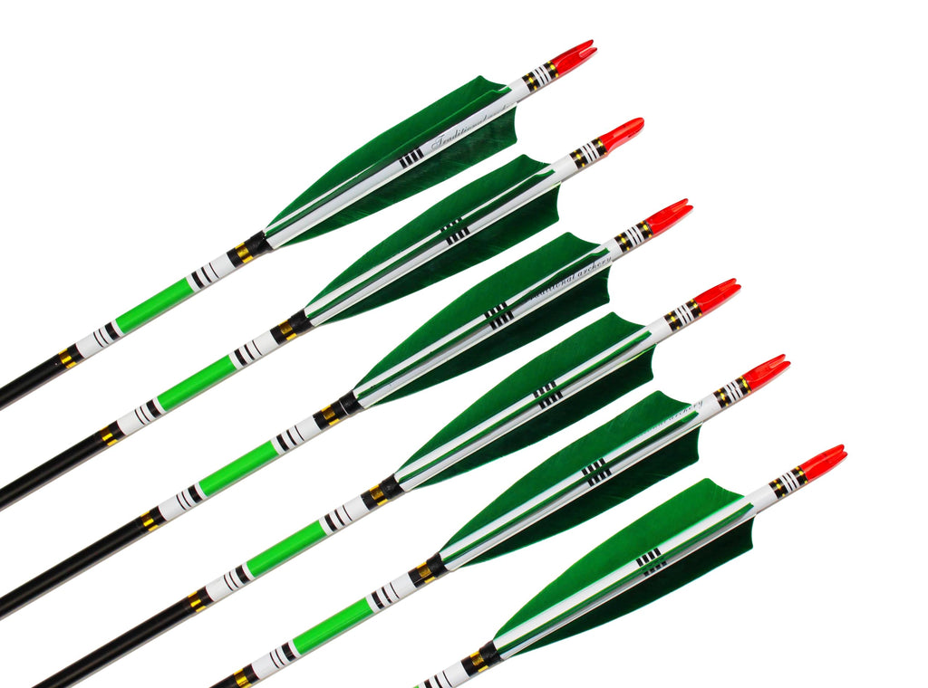 Ttfly Fletching 31 Inch Carbon Arrows Green Turkey Feather Targeting Arrows Archery With Screw-In Field Tips Hunting&Practice(12