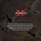 Avian-X Topflight Specklebelly Floating Goose Decoys With True To Life Postures For Hunting Use, Outdoor Sports, And Recreation