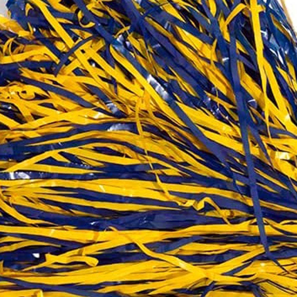 Anderson'S School Spirit Shakers, Cheerleader Pom Poms, Sports Fan Gear, Football Accessories, Homecoming, Royal And Gold, Packa