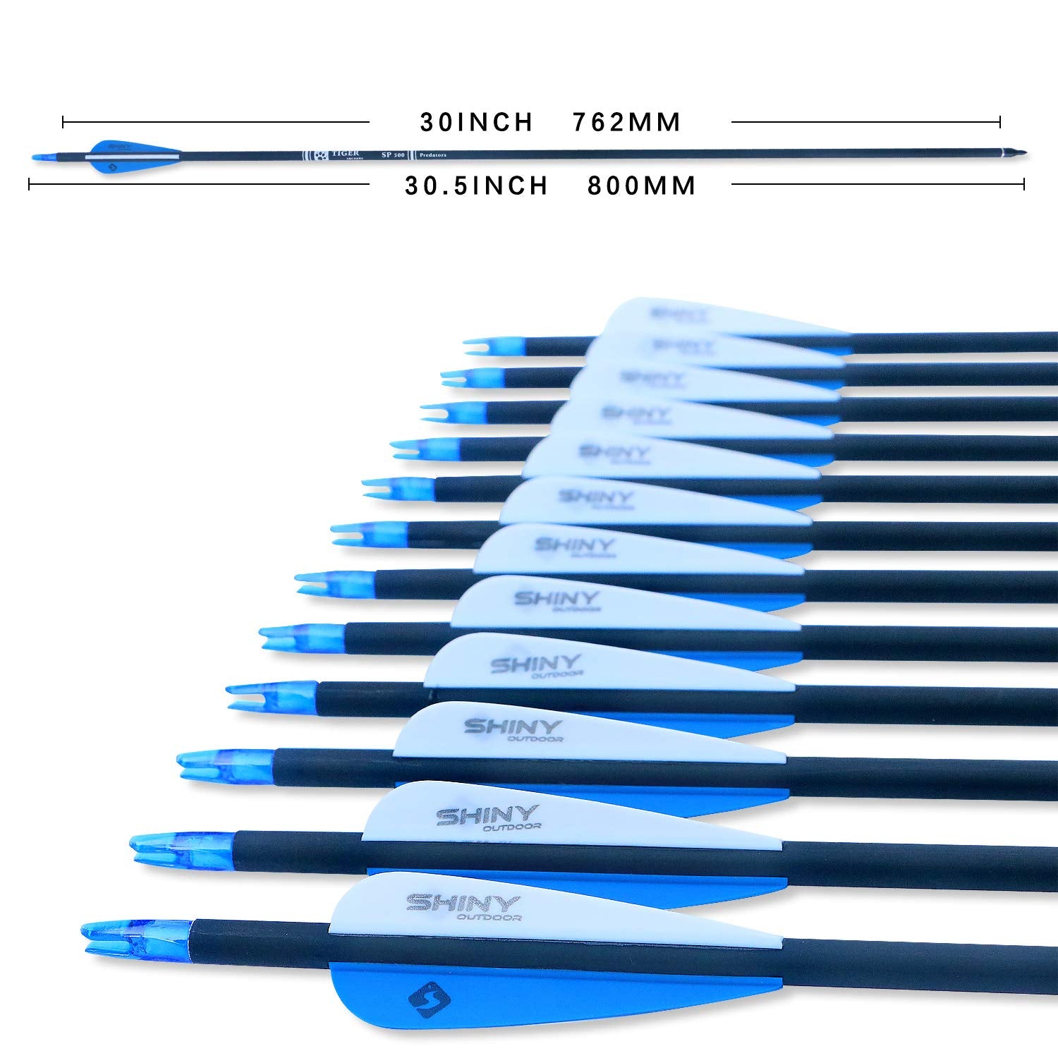 Tiger Archery 30Inch Carbon Arrow Practice Hunting Arrows With Removable Tips For Compound & Recurve Bow(Pack Of 12) (Blue White