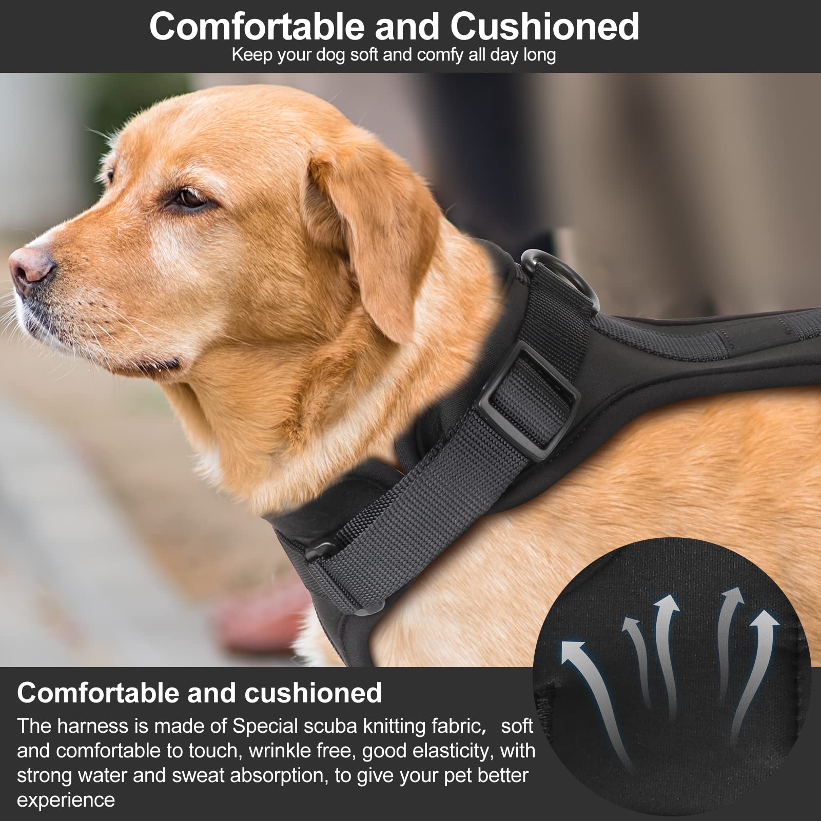 No Pull Lightweight Dog Harness: Adjustable Durable Breathable Mesh Pet Vest Harness With Soft And Comfortable Cushion, Easy To