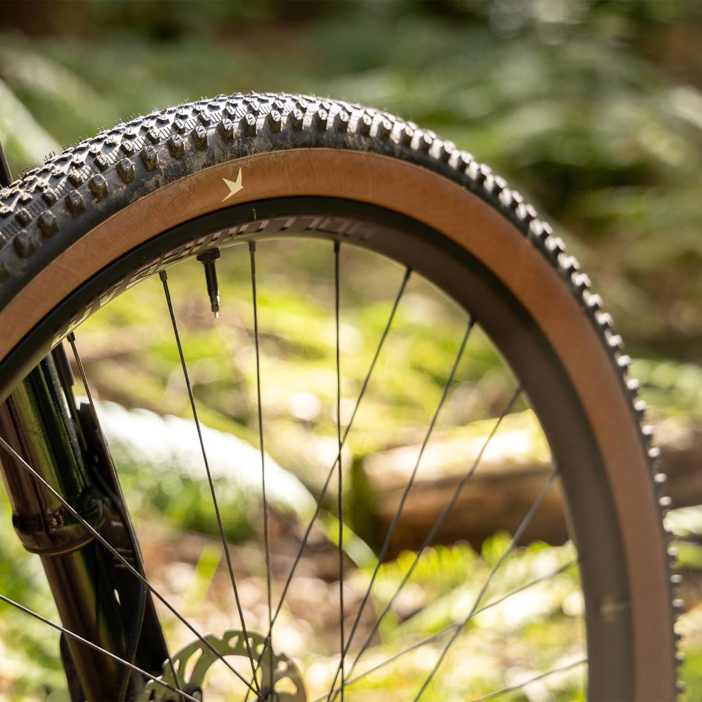 Schwalbe Rick Xc Pro Tire - 29 X 2.40, Tubeless, Folding, Black, Evolution Line, Pro, Addix Speedgrip