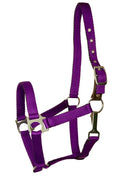Gatsby Nylon Safety Breakaway Halter Horse Purple