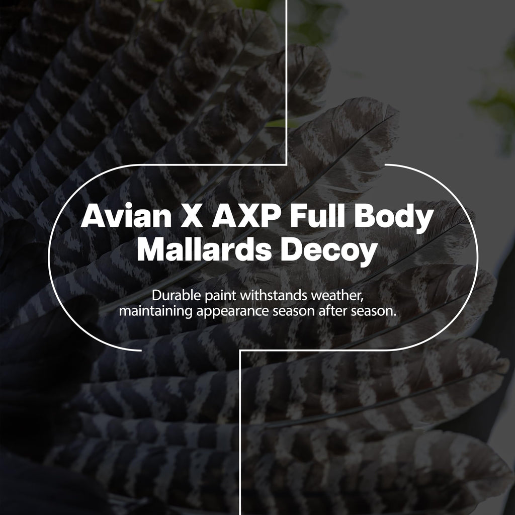 Avian-X Axp Full Body Mallards Decoy With Durable Materials, Wind Activated Motion System, And 6 True To Life Postures, 6 Pack,