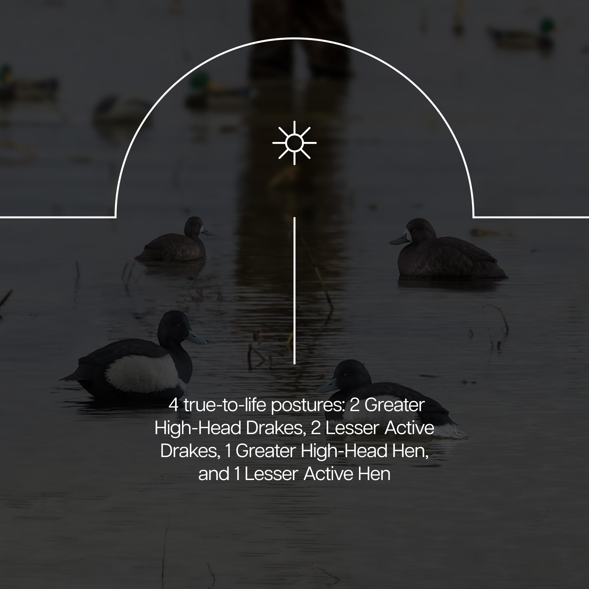 Avian-X Topflight Bluebill Duck Decoy 6Pk
