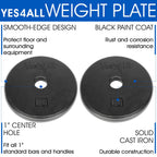 Yes4All Standard 1-Inch Cast Iron Weight Plates - 10Lbs Pair