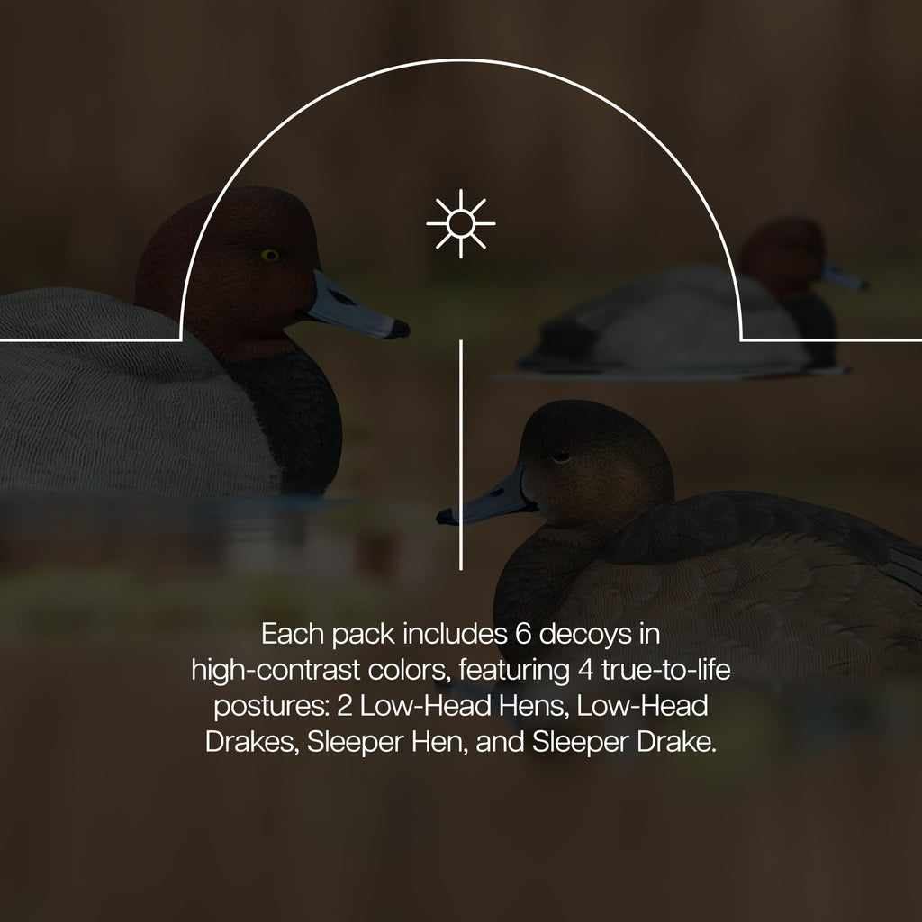 Avian-X Magnum Canvasback Decoys, Open Water, Realistic Design, Weight Forward Swim Keel, Rugged With No Flake Paint Finish, Tru