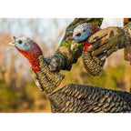 Avian-X Hdr Jake Turkey Decoy | Rugged Durable Realistic Lifelike Quarter-Strut Body Standing Hunting Decoy With 2 Removable Hea