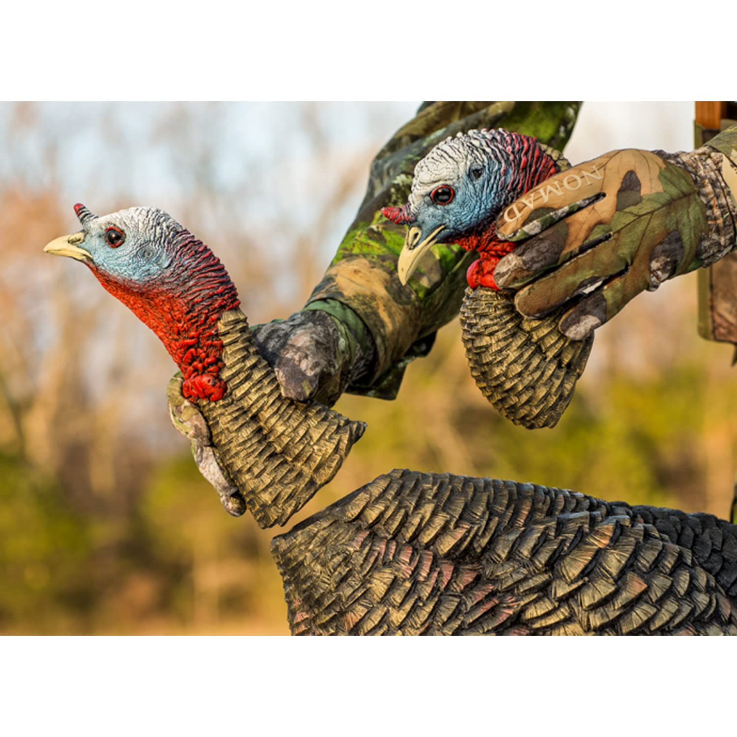 Avian-X Hdr Jake Turkey Decoy | Rugged Durable Realistic Lifelike Quarter-Strut Body Standing Hunting Decoy With 2 Removable Hea