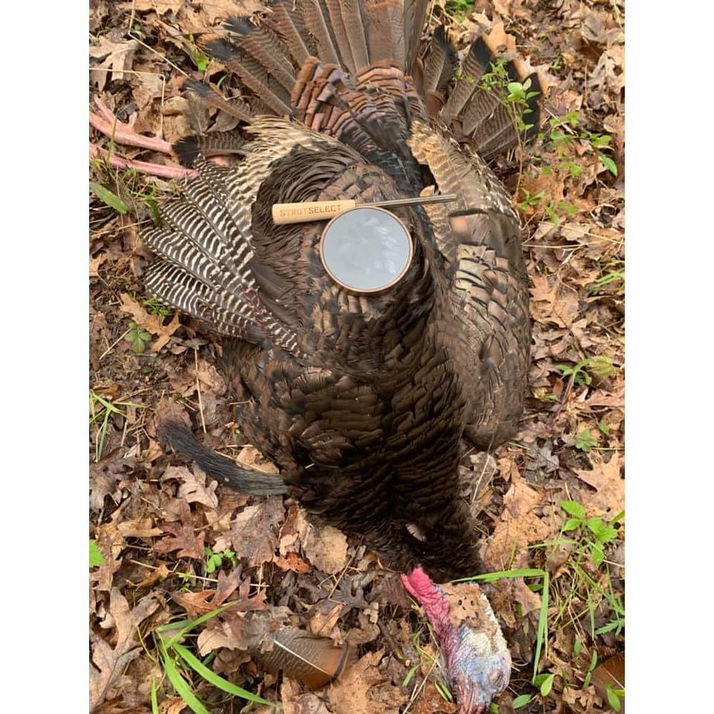 Hunters Specialties Hs Strut Select Closing Time Hunting American Kiln-Dried Walnut Wood Turkey Pot Call, Glass Surface
