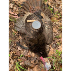 Hunters Specialties Hs Strut Select Closing Time Hunting American Kiln-Dried Walnut Wood Turkey Pot Call, Glass Surface