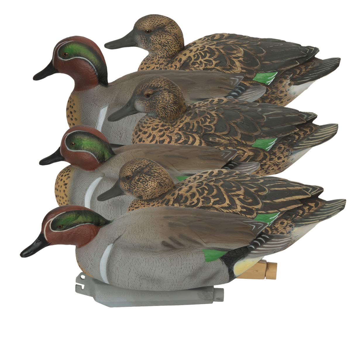 Avery Outdoors 73123 Pg Green Winged Teal (1/2 Dozen) Hunting Decoy Accessories