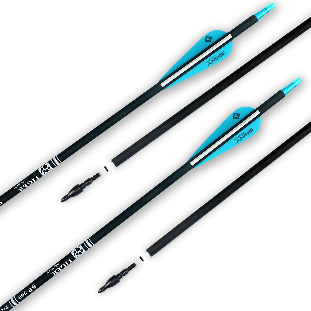Tiger Archery 30Inch Carbon Arrow Practice Hunting Arrows With Removable Tips For Compound & Recurve Bow(Pack Of 12) (Light Blue