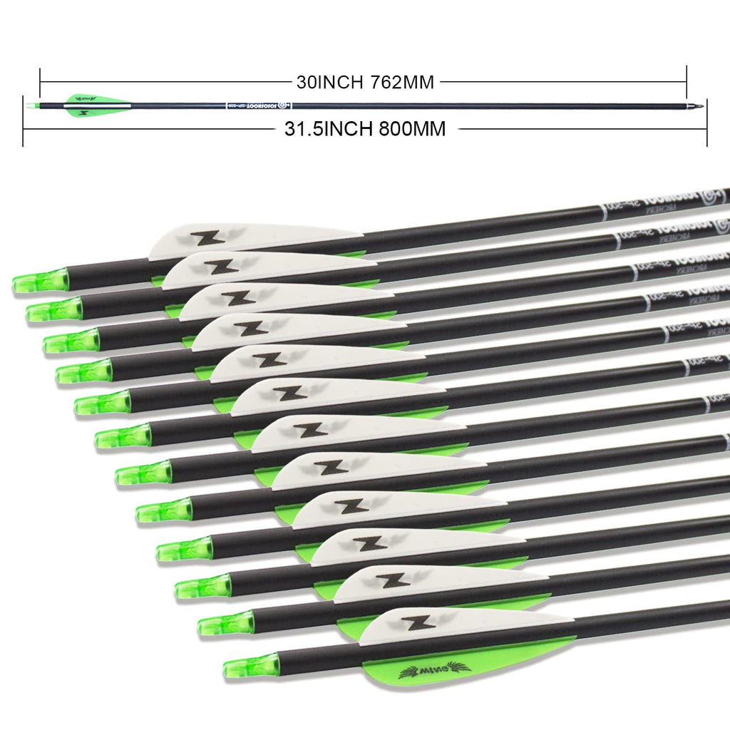 31Inch Carbon Arrow Archery Targeting Practice Hunting Arrows For Compound & Recurve Bow With Removable Tips(Pack Of 12) (Green