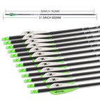 31Inch Carbon Arrow Archery Targeting Practice Hunting Arrows For Compound & Recurve Bow With Removable Tips(Pack Of 12) (Green