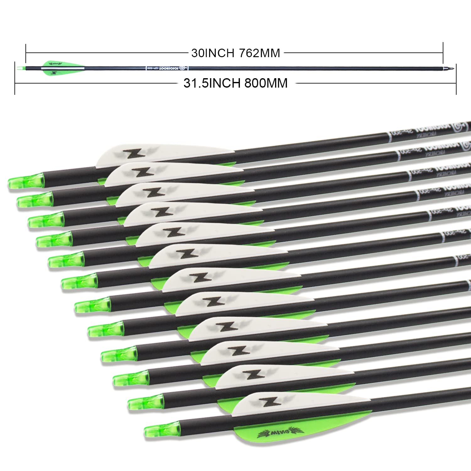 31Inch Carbon Arrow Archery Targeting Practice Hunting Arrows For Compound & Recurve Bow With Removable Tips(Pack Of 12) (Green
