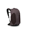 Osprey Hikelite LT 22L Hiking Backpack - Lightweight Travel Daypack with Rain Cover for Men and Women, Graphite Purple