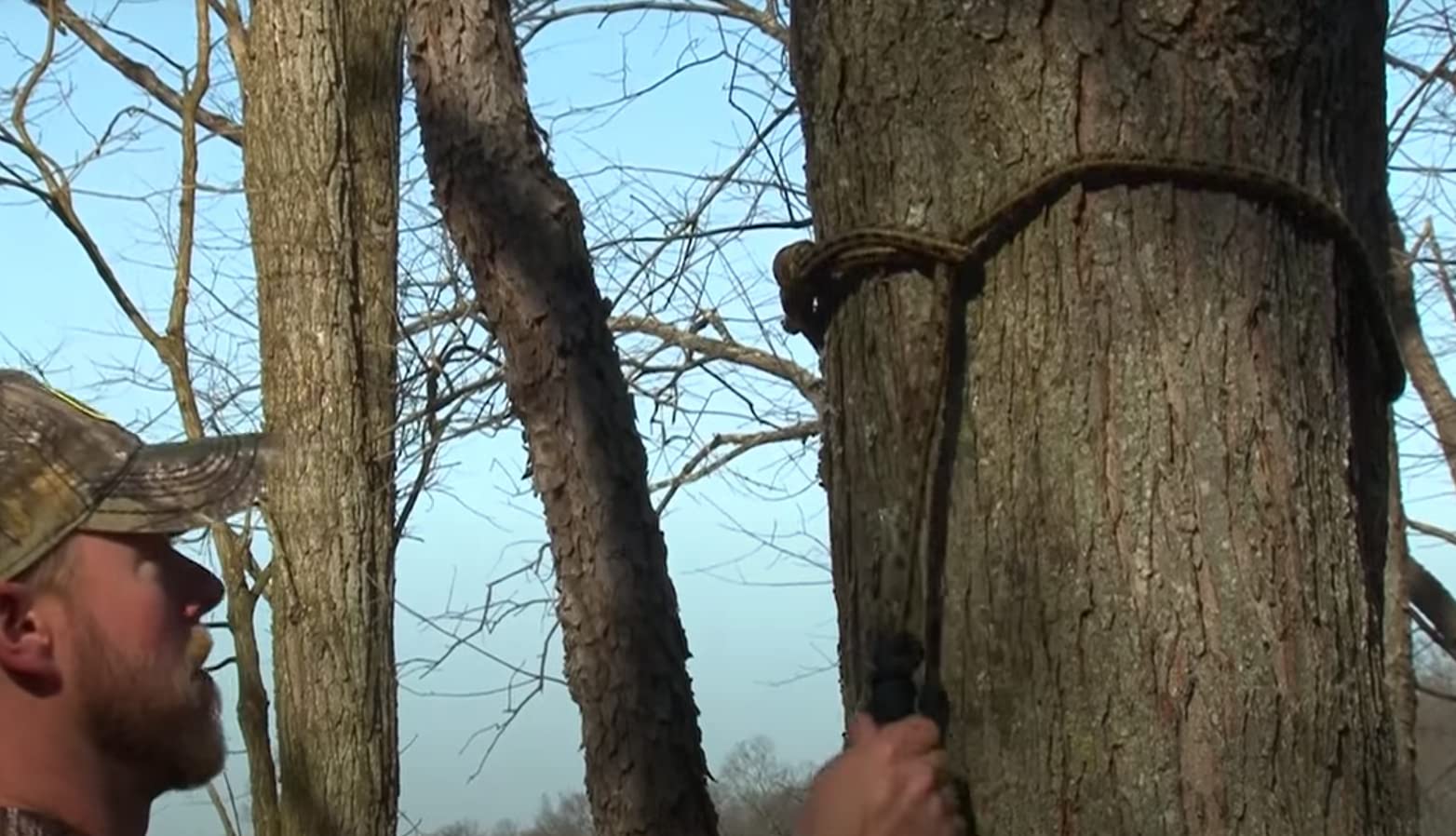 Hunter Safety System Rope-Style Tree Strap For Tree-Stand Hunting And Climbing, Single