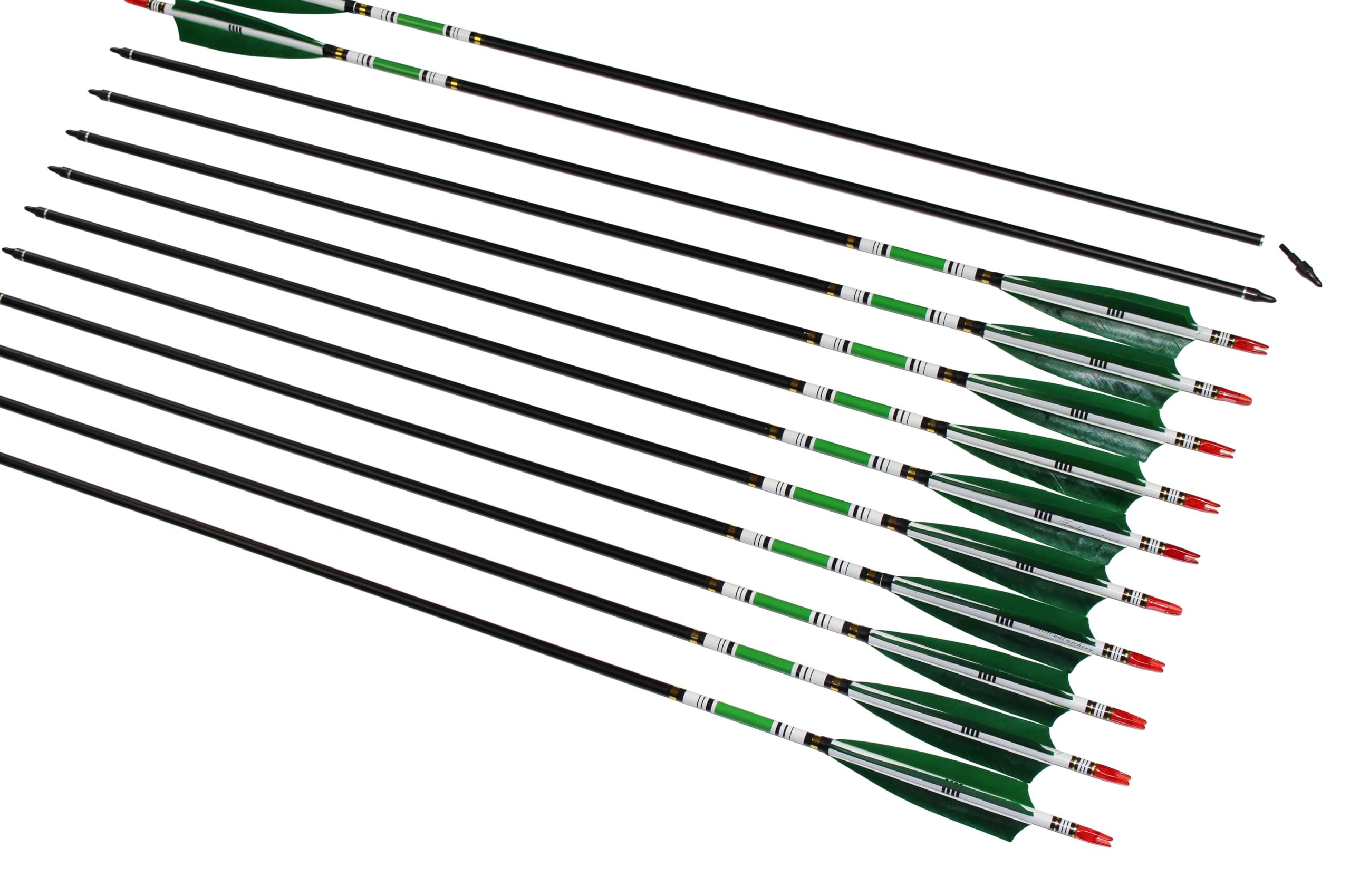 Ttfly Fletching 31 Inch Carbon Arrows Green Turkey Feather Targeting Arrows Archery With Screw-In Field Tips Hunting&Practice(12