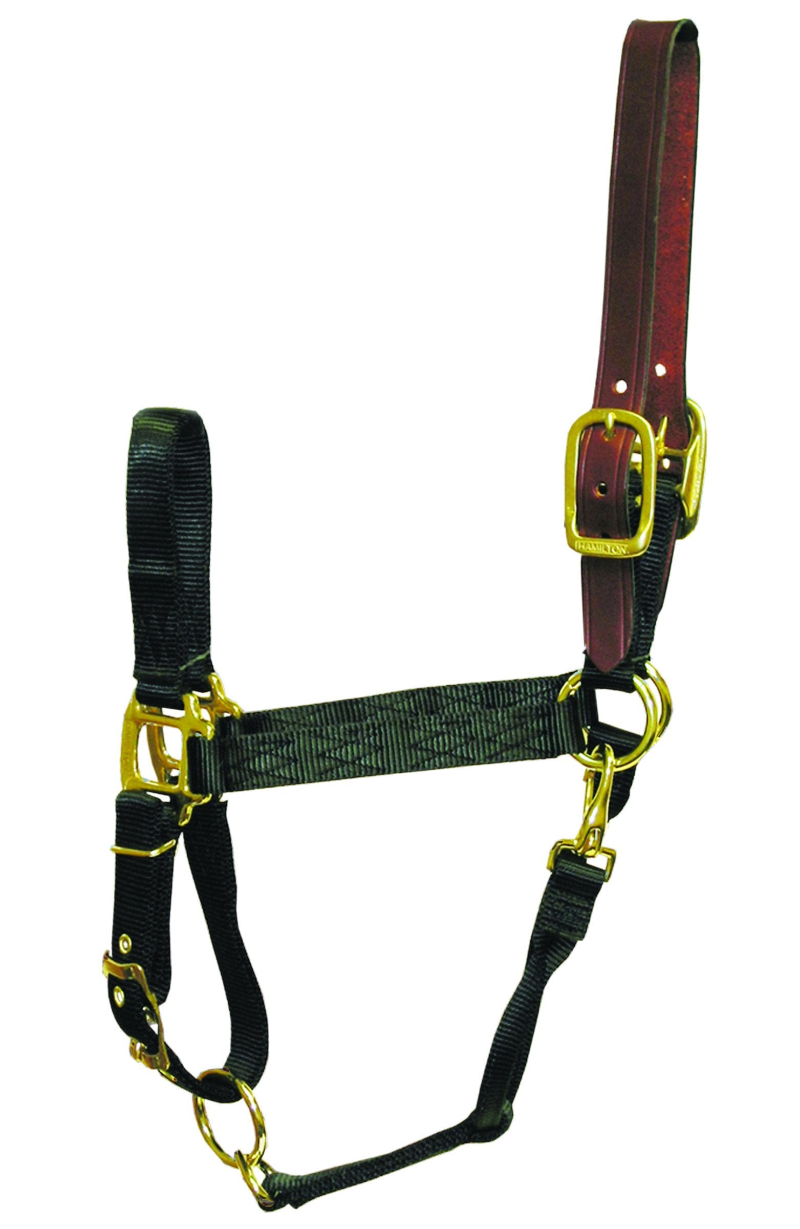 Hamilton 1-Inch Nylon Adjustable Horse Halter With Leather Head Poll And Throat Snap, Large, Black