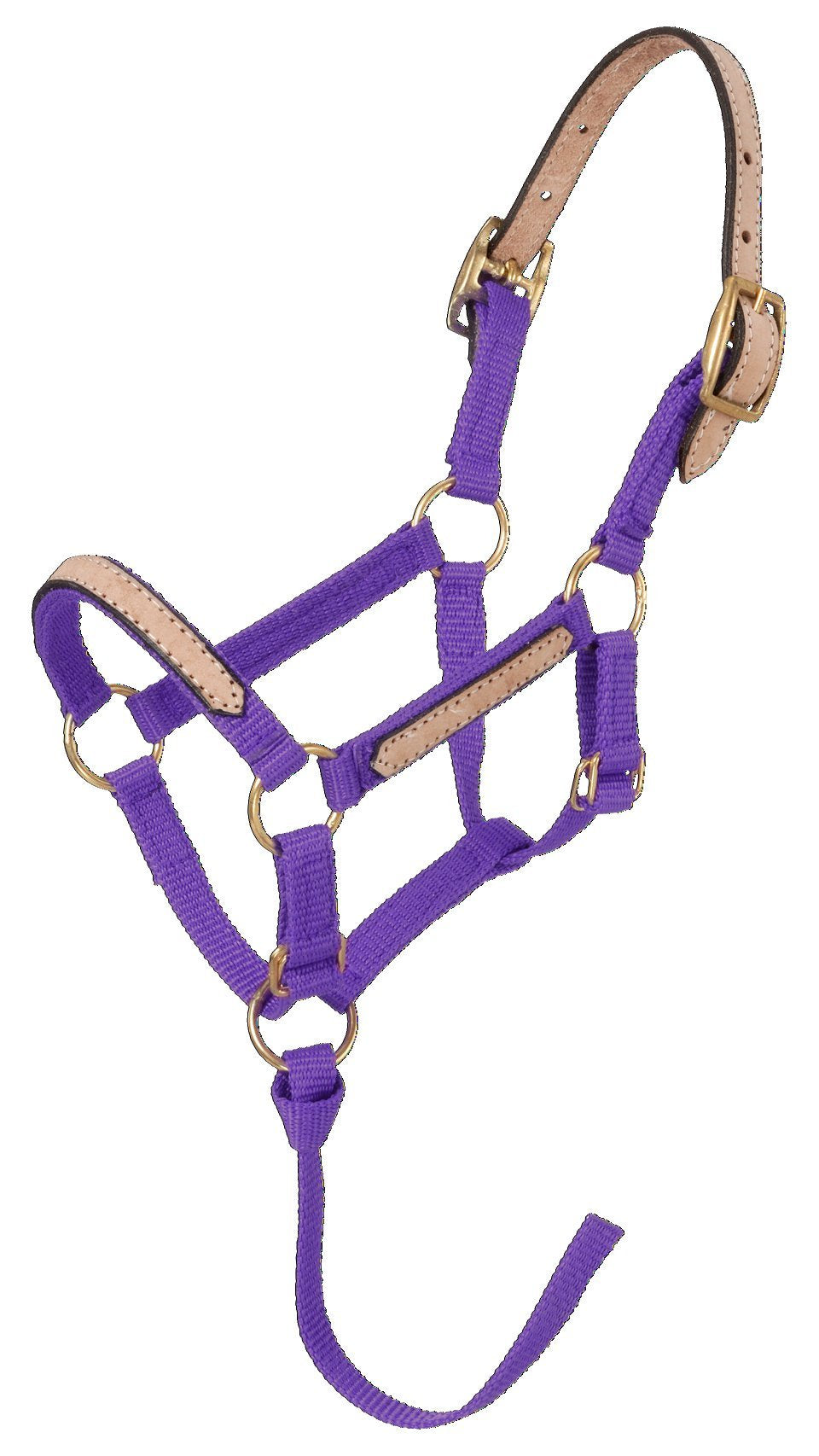 Tough 1 Miniature Nylon Break-Away Halter, Purple, Large