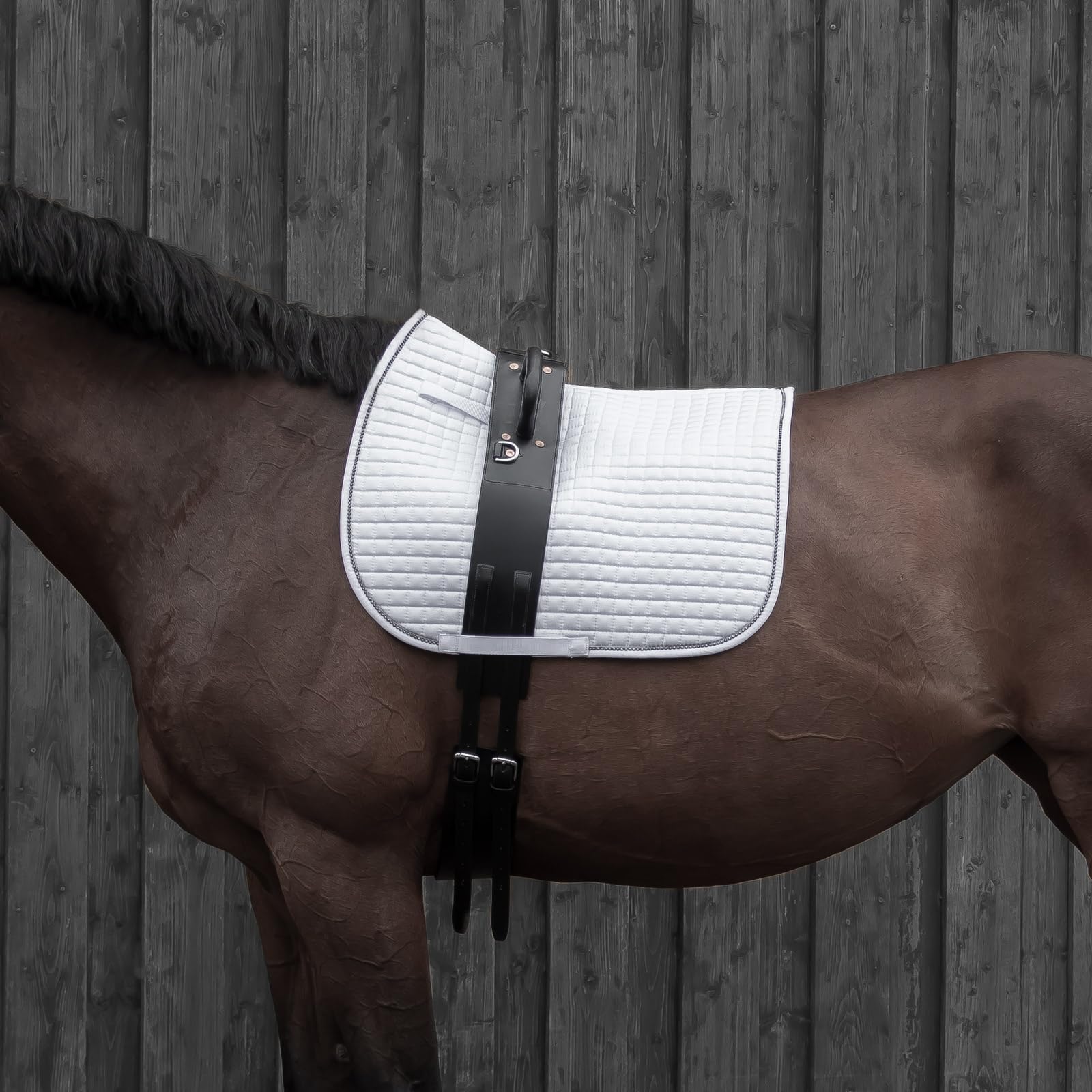 Horze Vaulting Surcingle - Black - One Size