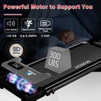 Howhai Walking Pad Treadmill With Incline, 2 In 1 Foldable Under Desk Treadmills For Home/Office, Portable Treadmill With App, B