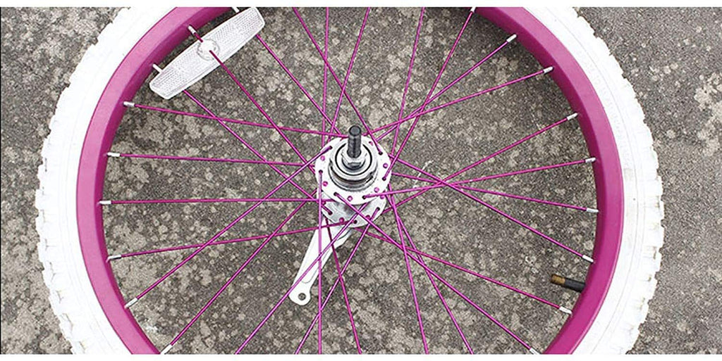 Bicycle Coaster Brake Hub/Bike Brake Rear Hub 32 Hole Stainless Steel