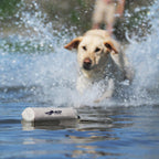 Avery Sporting Dog Canvas Training Bumper - Durable, Water-Resistant Training Dummy For Hunting Dogs (White, 2)